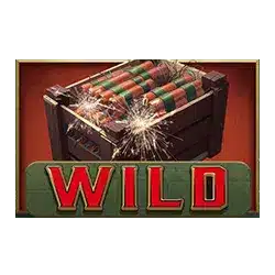 Символ Wild