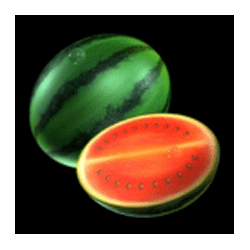 Symbol 3 Fruit Sensation