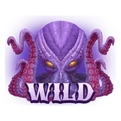 Wild символ