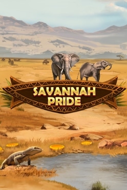 Играть в Savannah Pride онлайн бесплатно