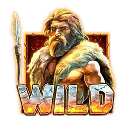 Символ Wild