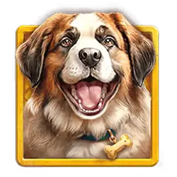 Icon 1 Diamond Doggies
