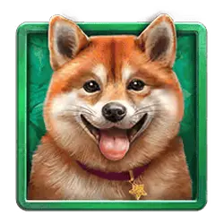 Icon 2 Diamond Doggies