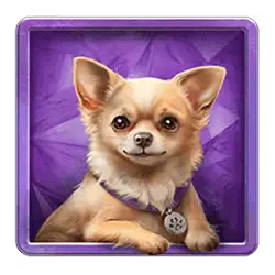 Icon 4 Diamond Doggies