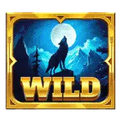 Символ Wild