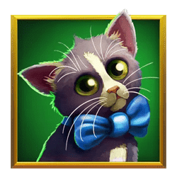 Icon 4 Kitty Kollect