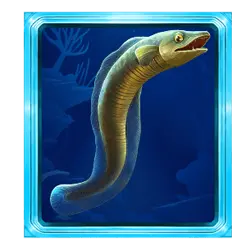 Символ4 слота Release the Kraken Megaways