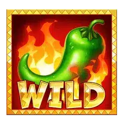 Символ Wild