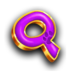 Symbol 8 5 Doggy Millionaires Dream Drop