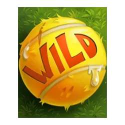 5 Doggy Millionaires Dream Drop Pokies Wild Symbol