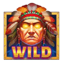 Символ Wild