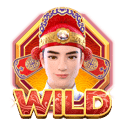 Double Fortune Pokies Wild Symbol