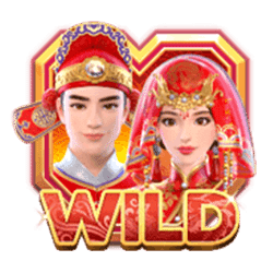 Wild-символ игрового автомата Double Fortune