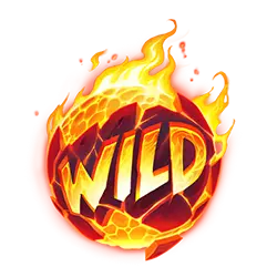 Символ Wild