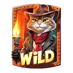 Wild символ