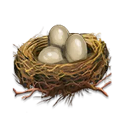 Symbol 6 Duck Hunters