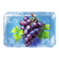 Символ2 слота Frozen Garden