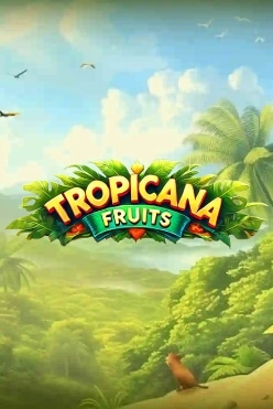 Играть в Tropicana Fruits онлайн бесплатно