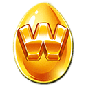 Символ wild