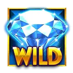 Символ Wild
