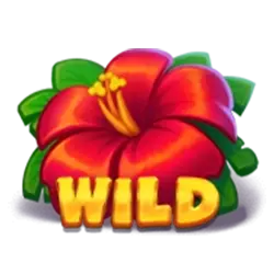 Wild символ