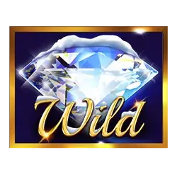 Символ Wild