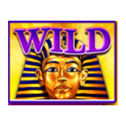 Sphinx Wild Pokies Wild Symbol