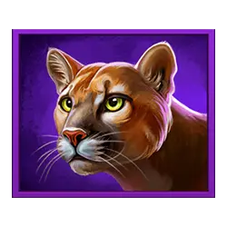 Symbol 3 Spirit Wolf Wins