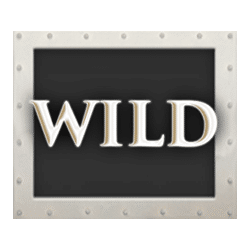 Titanic Pokies Wild Symbol