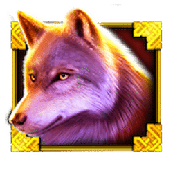 Icon 1 Book of Wild
