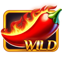 Wild символ