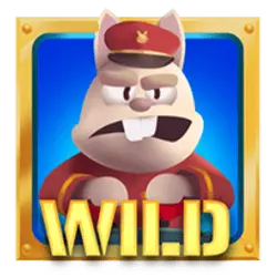 Символ Wild