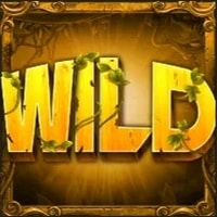 Wild Symbol