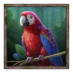 Icon 5 Jungle Queen