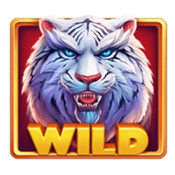 Wild Symbol of Luck of Tiger: Bonus Combo Slot