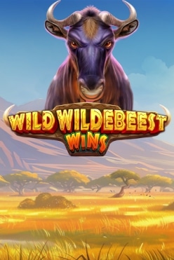 Wild Wildebeest Wins Free Play in Demo Mode