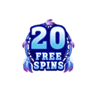 20 Free Spins image