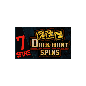 Duck Hunt Spins image