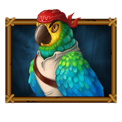 Icon 4 Tortuga Fortune