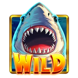 Wild символ
