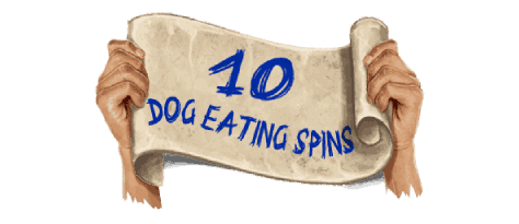 Dog Eating Spins image