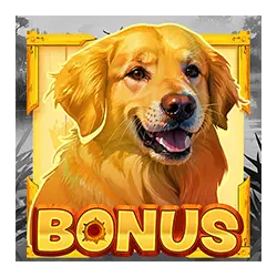 Bonus Символ