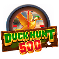 duck hunt 500