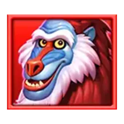 Icon 1 Safari Mystery