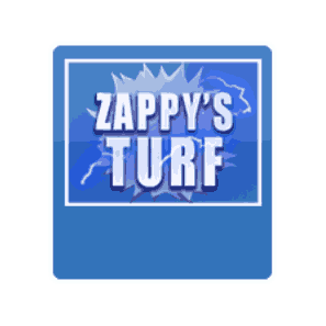 Zappy's Turf image