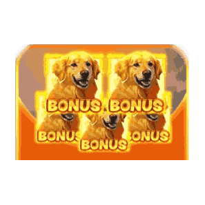 Bonus Max image