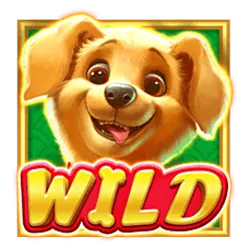 Wild-символ игрового автомата Cachorro Sortudo