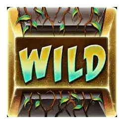 Символ Wild