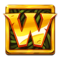 Wild символ