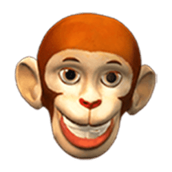 Icon 4 Husa